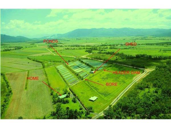 REDCLAW FARM FOR SALE Picture 2