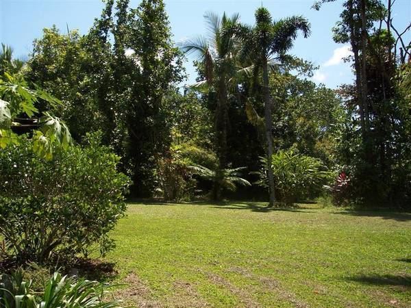 NATURE AND ENVIRONMENTAL LOVERS Picture 3