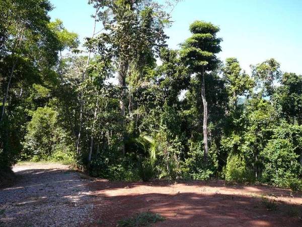 RAINFOREST WITH DUNK ISLAND VIEWS Picture 3