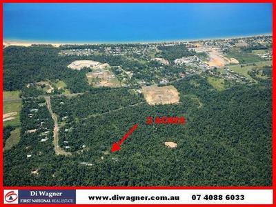 RAINFOREST WITH DUNK ISLAND VIEWS Picture RAINFOREST WITH DUNK ISLAND VIEWS Picture