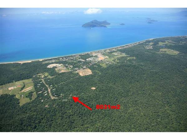 RAINFOREST WITH DUNK ISLAND VIEWS Picture 2