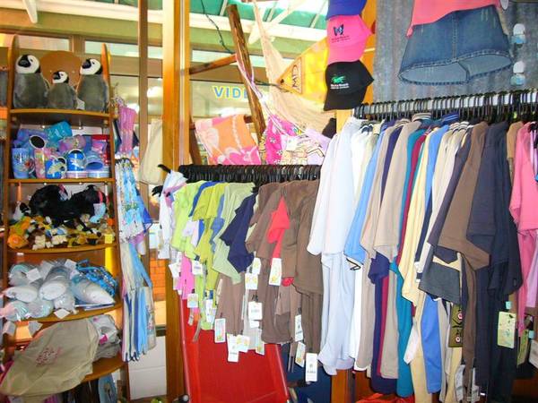 Looking for a Reason to Move to Mission Beach? Picture 3