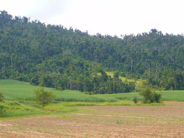 LARGE ACREAGE PROVIDING LIFESTYLE AND INCOME Picture 2