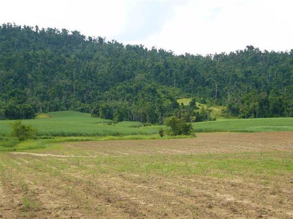 LARGE ACREAGE PROVIDING LIFESTYLE AND INCOME Picture 3