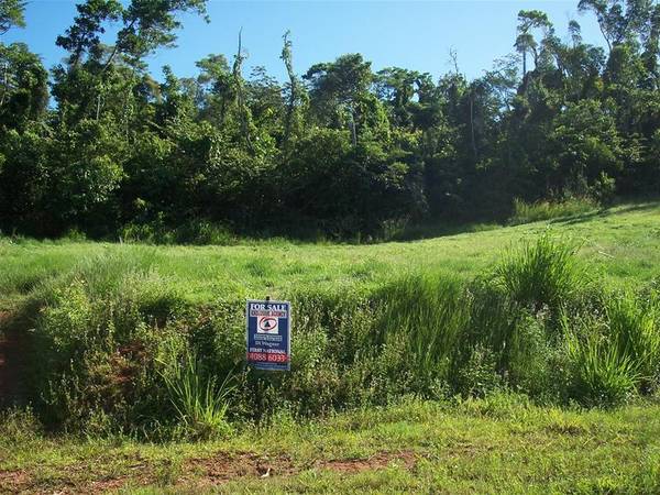 BE ELEVATED! Picture 2