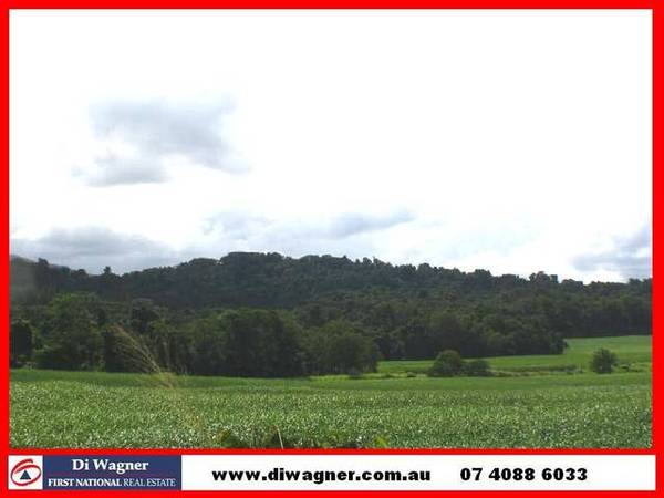 Rural Acreage - Main Road Frontage Picture 1