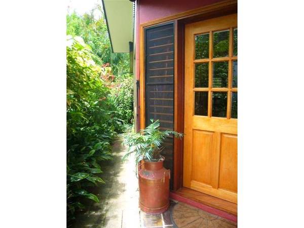 QUIRKY CHARM IN A RAINFOREST SETTING Picture 3