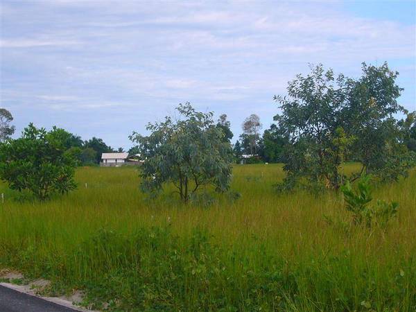 JUST LISTED! Picture 2