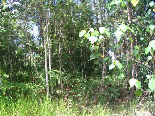 COUNTRY LIVING ON 2 ACRES Picture 2