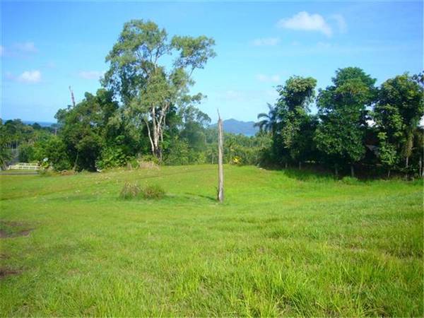 OCEAN GLIMPSES OF DUNK ISLAND Picture 3