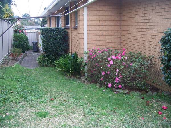 PEACE AND TRANQUILITY Picture PEACE AND TRANQUILITY Picture