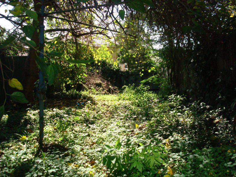 BOTTOM OF THE MARKET Picture 3