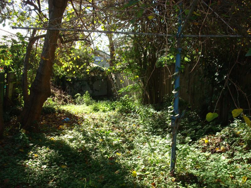 BOTTOM OF THE MARKET Picture 2