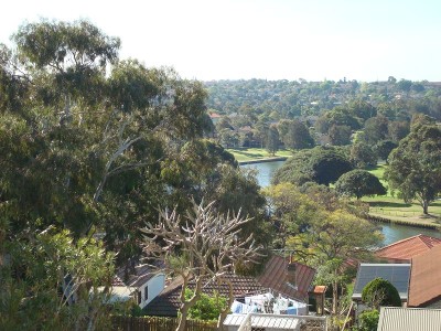 WHAT A VIEW Picture WHAT A VIEW Picture