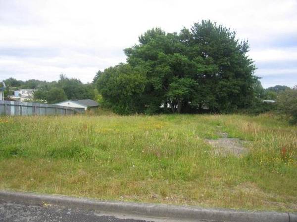 What Will It Be? Picture 1