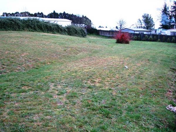 Smart Buyers Are Looking Now!! Picture 1