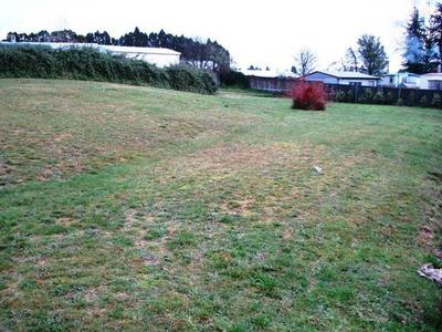 Smart Buyers Are Looking Now!! Picture Smart Buyers Are Looking Now!! Picture