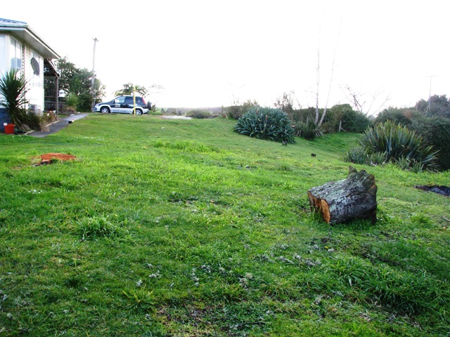 TWO WEEK SPECIAL Picture 3