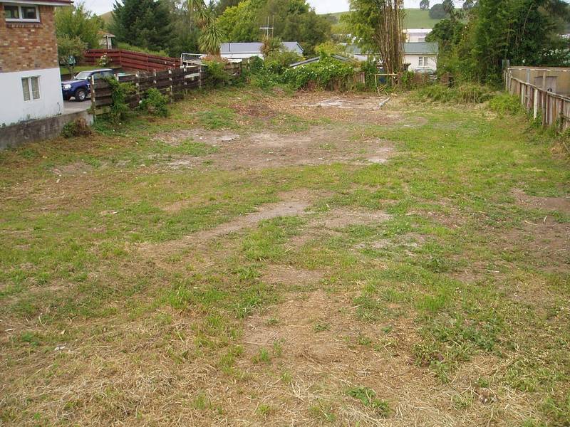 Blank Canvas Picture 1