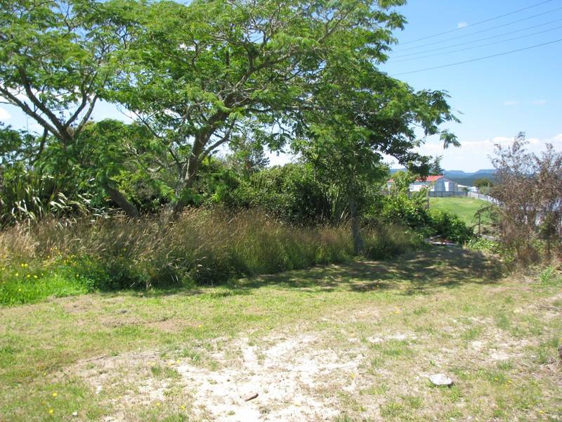 Now We Are Talking Picture 3