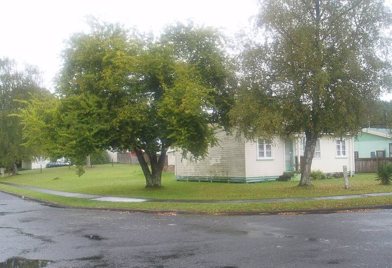 Opportunities Galore Picture 1