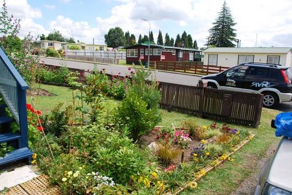 The Real Deal Picture 3