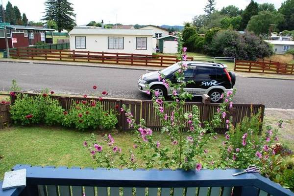 The Real Deal Picture 2