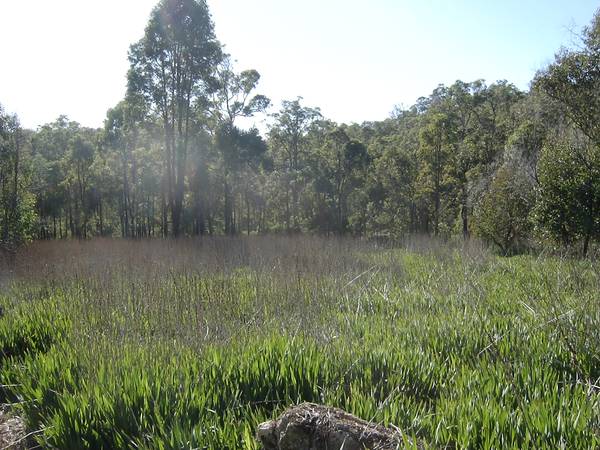 30 acres of bliss! Picture 3