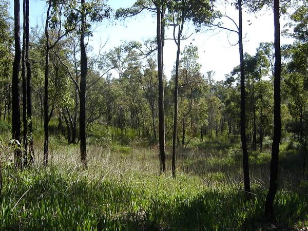 30 acres of bliss! Picture 1