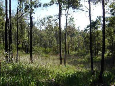 30 acres of bliss! Picture