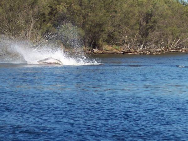 Best view best price! Picture 1