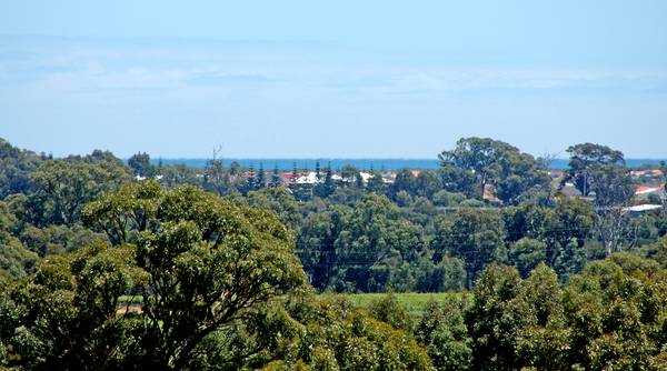 EXEPTIONAL LIFESTYLE INVESTMENT Picture 1