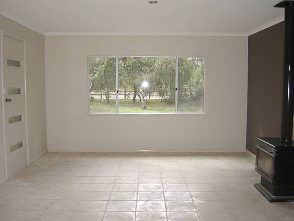 Perfect for Horses Picture 3