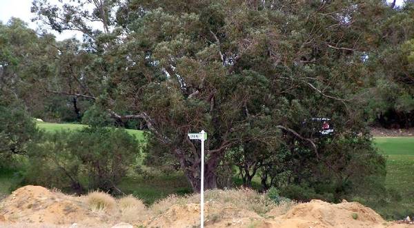 PARK VIEWS IN NEW AREA Picture 2