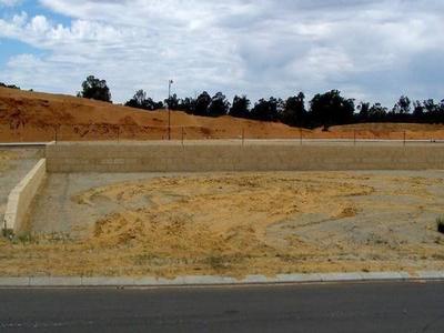 PARK VIEWS IN NEW AREA Picture