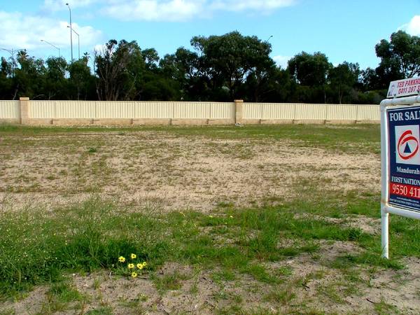 Where dreams become Reality Picture 2