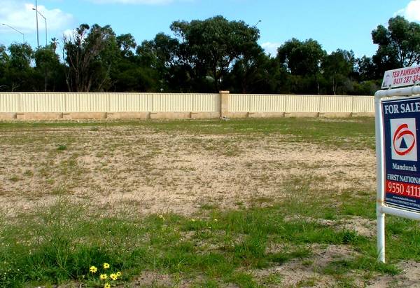 Where dreams become Reality Picture 1