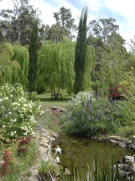 Time for a tree change? Picture 2