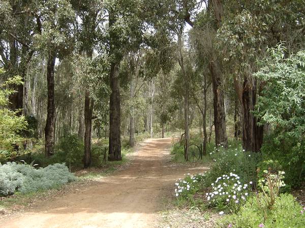 Time for a tree change? Picture 1