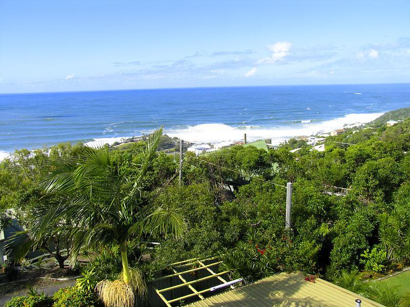 Another Success by Steve and Geoff Picture 2