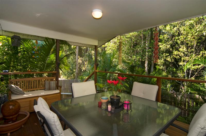 FOREST BEAUTY NEEDS NEW OWNERS NOW! Picture 3