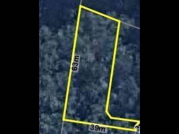 Rainforest Backdrop in Peaceful Buderim Picture Rainforest Backdrop in Peaceful Buderim Picture