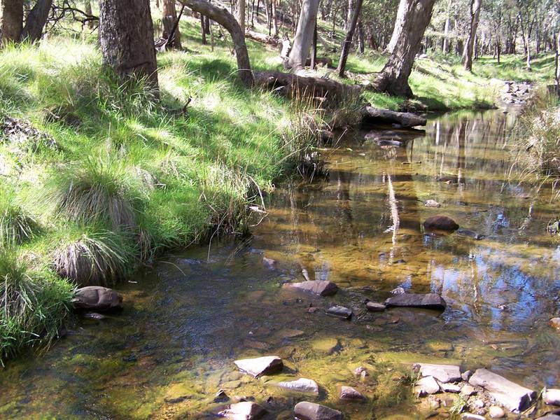 They're Off! Picture 2