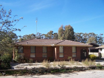 Don't Let This One Get Away Picture