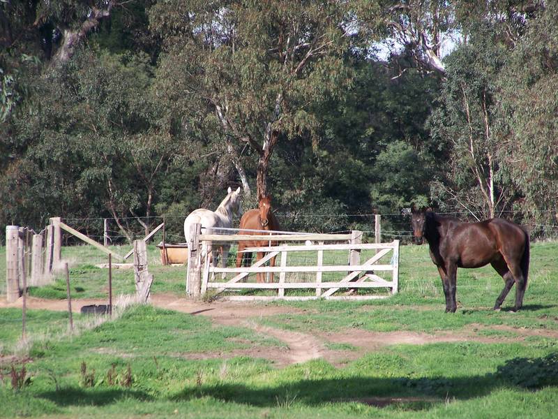 20 Acres With all Town Services Picture 3