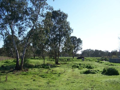 Knock, Knock, Knocking on opportunities door. Picture