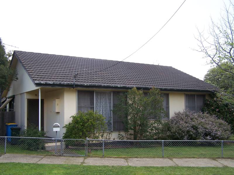 A Beginner's Winner Picture 1