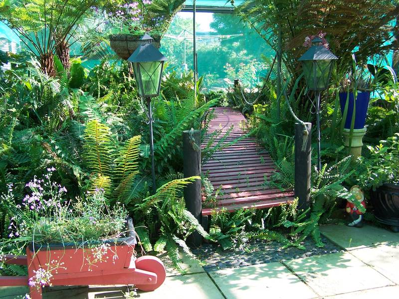 Young Family Wanted Picture 3