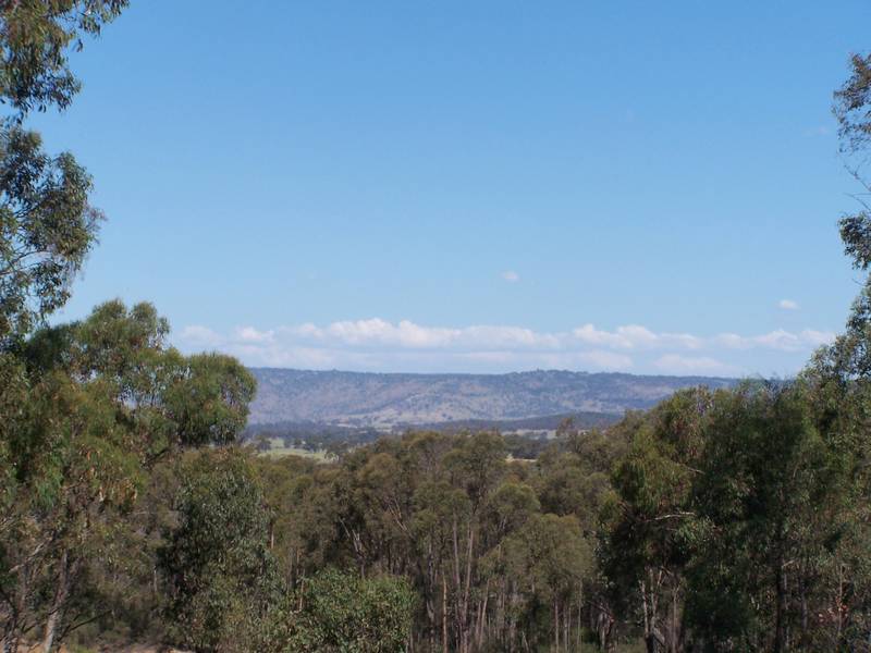 Be Best Friends With Nature Picture 2