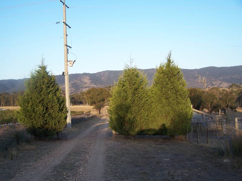 Healthy Country Lifestyle Picture 3